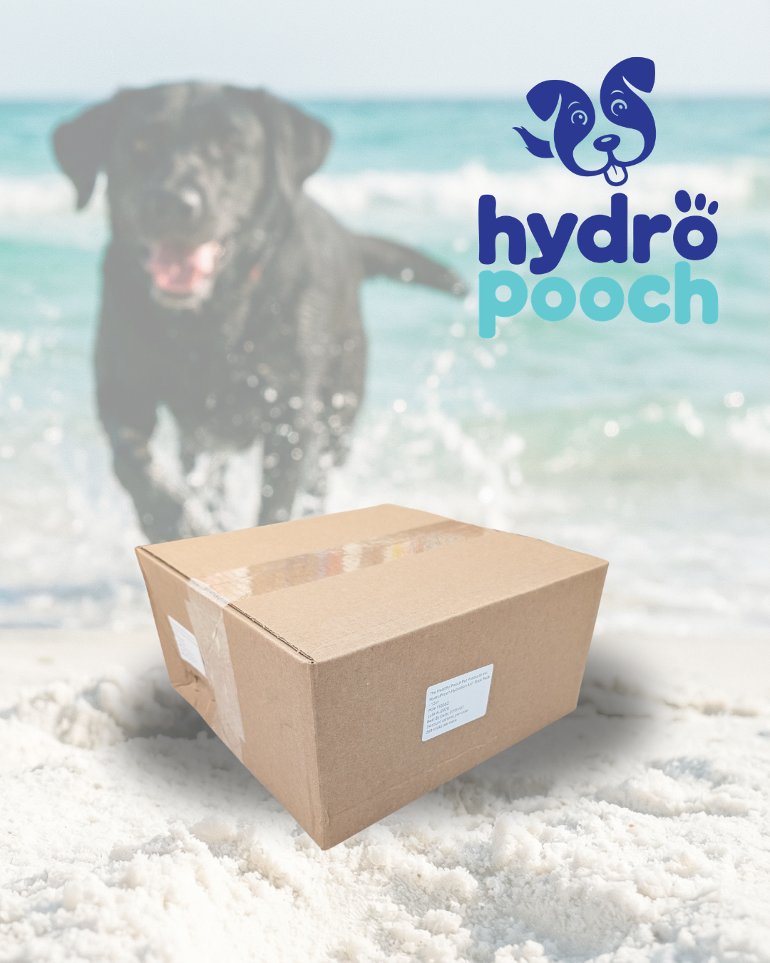 HydroPooch Hydration Aid